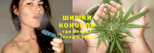 ГАЛЛЮЦИНОГЕННЫЕ ГРИБЫ Михайлов