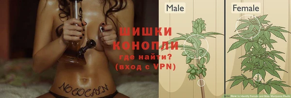 мяу мяу мука Козловка
