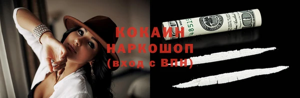 a pvp Каменногорск