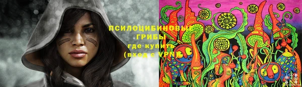 мяу мяу мука Козловка