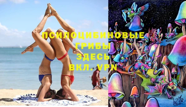 мяу мяу мука Козловка