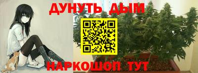 индика Кимры