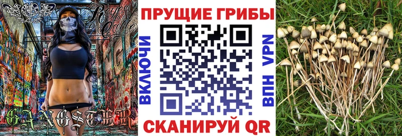Галлюциногенные грибы мицелий  где можно купить наркотик  Сызрань 
