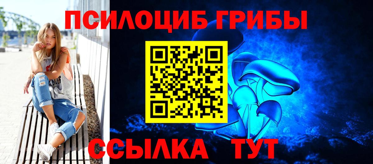 Сызрань  Псилоцибиновые грибы Cubensis  Галлюциногенные грибы GOLDEN TEACHER  Вход с VPN 